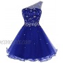 Lily Wedding Juniors Aline One Prom Dress 2018 Short Tulle Party Dress Mini