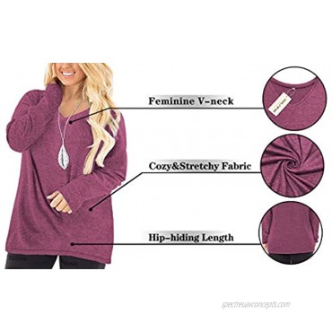 DOLNINE Plus-Size Tops for Women Long Sleeve V Neck T Shirts XL-4XL