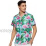 Stylore Men's Hawaiian Shirt Button Down Short Sleeves Flamingo