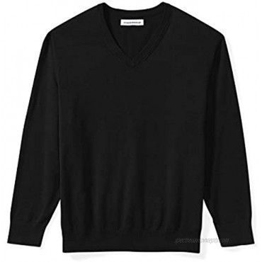 Essentials Men's Big and Tall V-neck Sweater